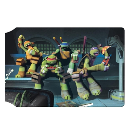 Wojownicze Żółwie Ninja - etui na karty